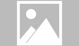 吃瓜明星爆料狼王是谁,吃瓜明星爆料，狼王身份成谜！